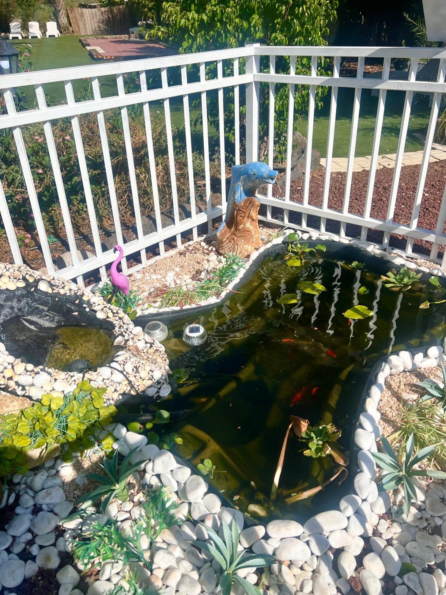 Magical In The Galilee Мотель *