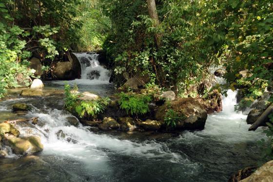 Magical In The Galilee *